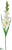 Gladiolus Spray - White - Pack of 12