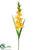 Gladiolus Spray - Yellow - Pack of 12