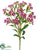 Silk Plants Direct Dianthus Spray - Violet Cream - Pack of 12