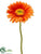 Gerbera Daisy Spray - Orange - Pack of 24