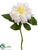 Dahlia Spray - Cream - Pack of 12