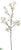 Dogwood Spray - White - Pack of 6