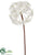 Silk Plants Direct Dandelion Spray - Ivory - Pack of 8