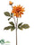 Dahlia Spray - Honey - Pack of 12