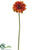 Gerbera Daisy Spray - Orange - Pack of 12