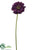 Gerbera Daisy Spray - Violet - Pack of 12