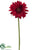 Gerbera Daisy Spray - Red - Pack of 12