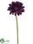 Gerbera Daisy Spray - Violet - Pack of 12