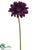 Gerbera Daisy Spray - Violet - Pack of 12