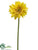 Gerbera Daisy Spray - Yellow - Pack of 12