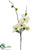 Dogwood Spray - White - Pack of 12