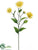 Dahlia Spray - Yellow - Pack of 12