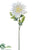 Dahlia Spray - White - Pack of 12