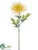 Dahlia Spray - Yellow Soft - Pack of 12