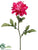 Dahlia Spray - Cerise Two Tone - Pack of 12