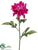 Dahlia Spray - Rubrum Two Tone - Pack of 12