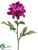 Dahlia Spray - Violet - Pack of 12