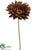 Gerbera Daisy Spray - Coffee - Pack of 12