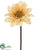 Gerbera Daisy Spray - Amber - Pack of 24