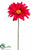 Gerbera Daisy Spray - Beauty - Pack of 12