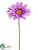 Gerbera Daisy Spray - Lavender - Pack of 12