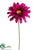 Gerbera Daisy Spray - Violet - Pack of 12