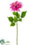 Dahlia Spray - Amethyst Lilac - Pack of 12