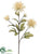 Dahlia Spray - Beige - Pack of 12