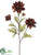 Dahlia Spray - Coffee - Pack of 12