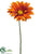 Jumbo Gerbera Daisy Spray - Orange - Pack of 6