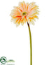 Silk Plants Direct Gerbera Daisy Spray - Apricot Peach - Pack of 12