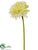 Gerbera Daisy Spray - Yellow Pastel - Pack of 12