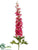 Delphinium Spray - Cerise Two Tone - Pack of 12