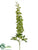 Delphinium Spray - Green - Pack of 12