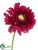 Gerbera Daisy Spray - Beauty - Pack of 12