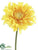 Gerbera Daisy Spray - Yellow Two Tone - Pack of 12