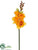 Freesia Spray - Yellow - Pack of 12