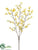 Forsythia Spray - Yellow - Pack of 24