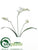 Freesia Spray - White - Pack of 12