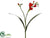 Freesia Spray - Flame - Pack of 12