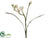 Freesia Spray - White - Pack of 12