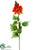 Flame Tree Flower Spray - Orange - Pack of 12