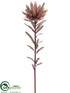 Silk Plants Direct Leucadendron Spray - Brown - Pack of 12