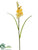 Freesia Spray - Yellow - Pack of 12