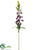 Foxglove Spray - Violet - Pack of 12