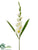 Gladiolus Spray - White - Pack of 12