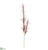 Pampas Grass Spray - Burgundy - Pack of 12