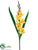 Gladiolus Spray - Yellow - Pack of 12