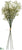 Gypsophila Bundle - White - Pack of 6