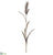 Pampas Grass Spray - Brown - Pack of 12